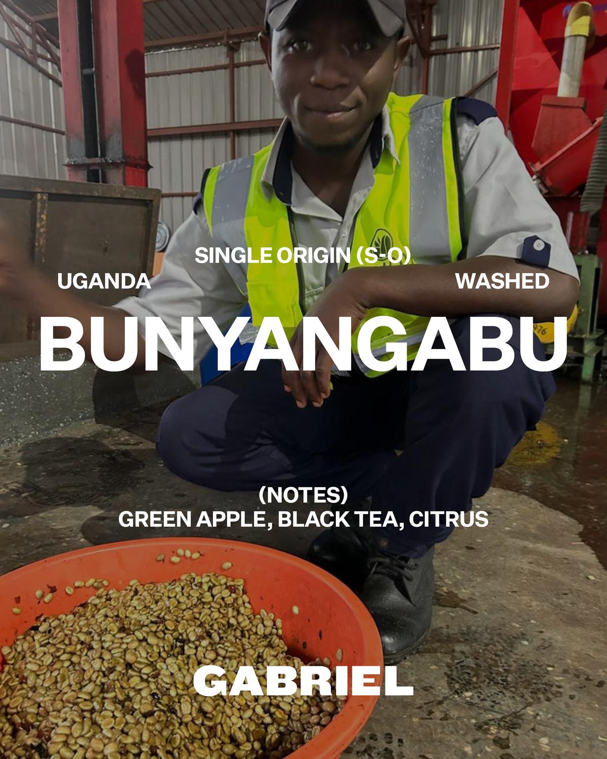 Bunyangabu, Uganda - Espresso (500g)