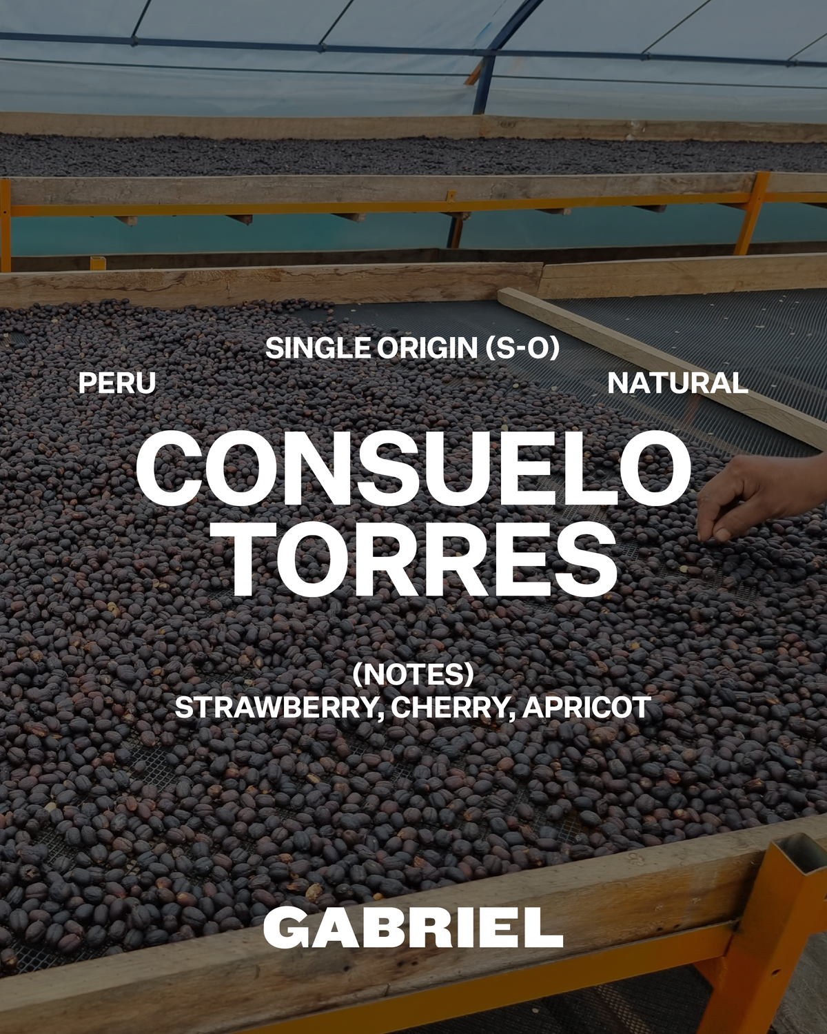 Consuelo Torres, Peru - Espresso (500g)