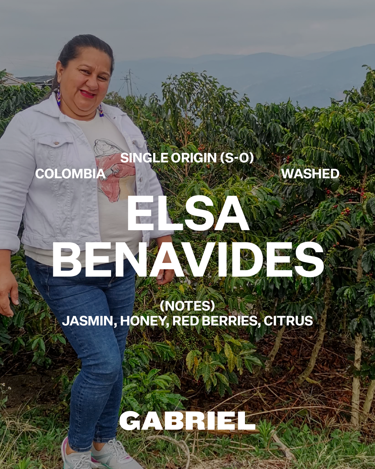 Elsa Benavides, Colombia - Filter (250g)