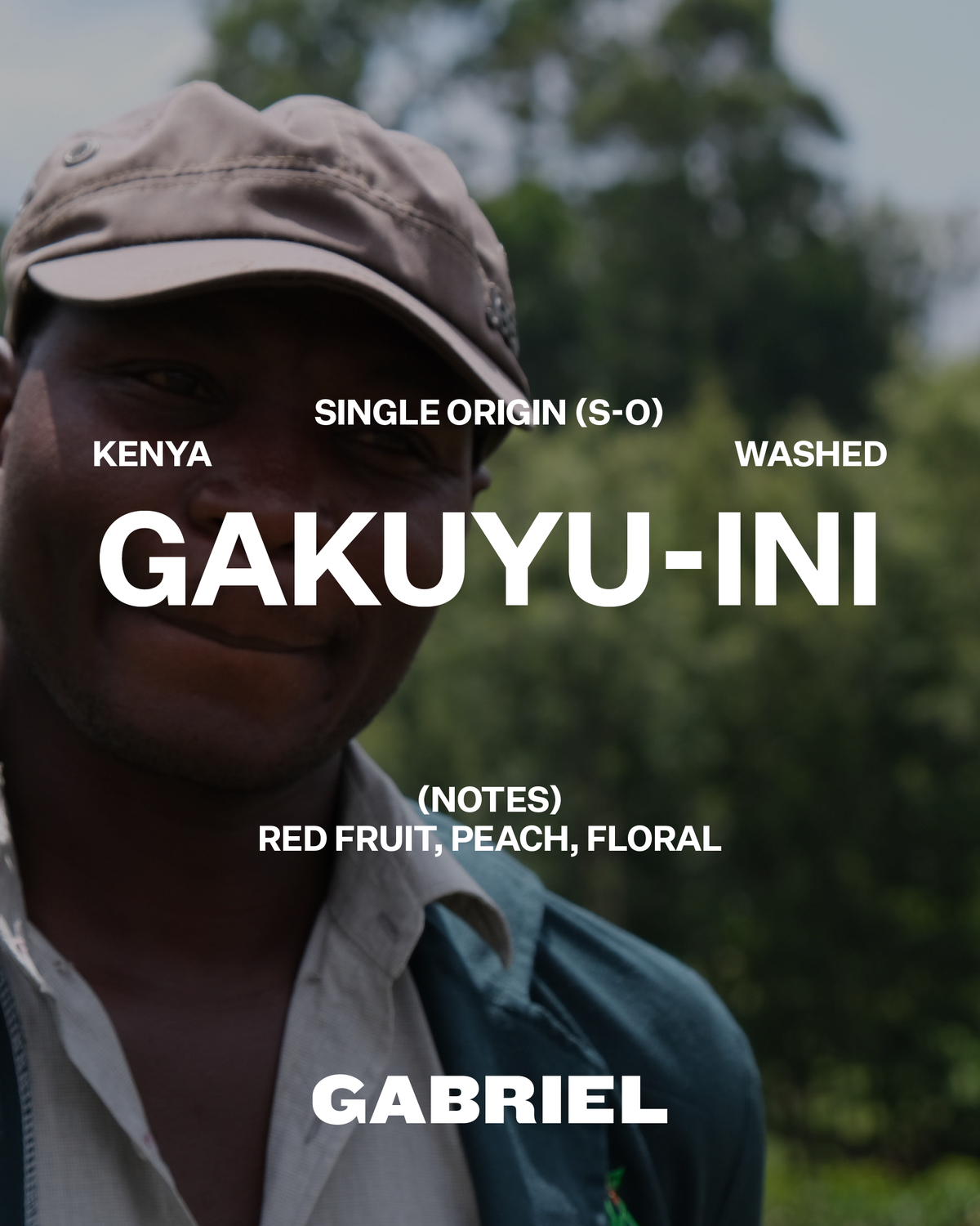 Gakuyu-ini, Kenya - Filter (250g)