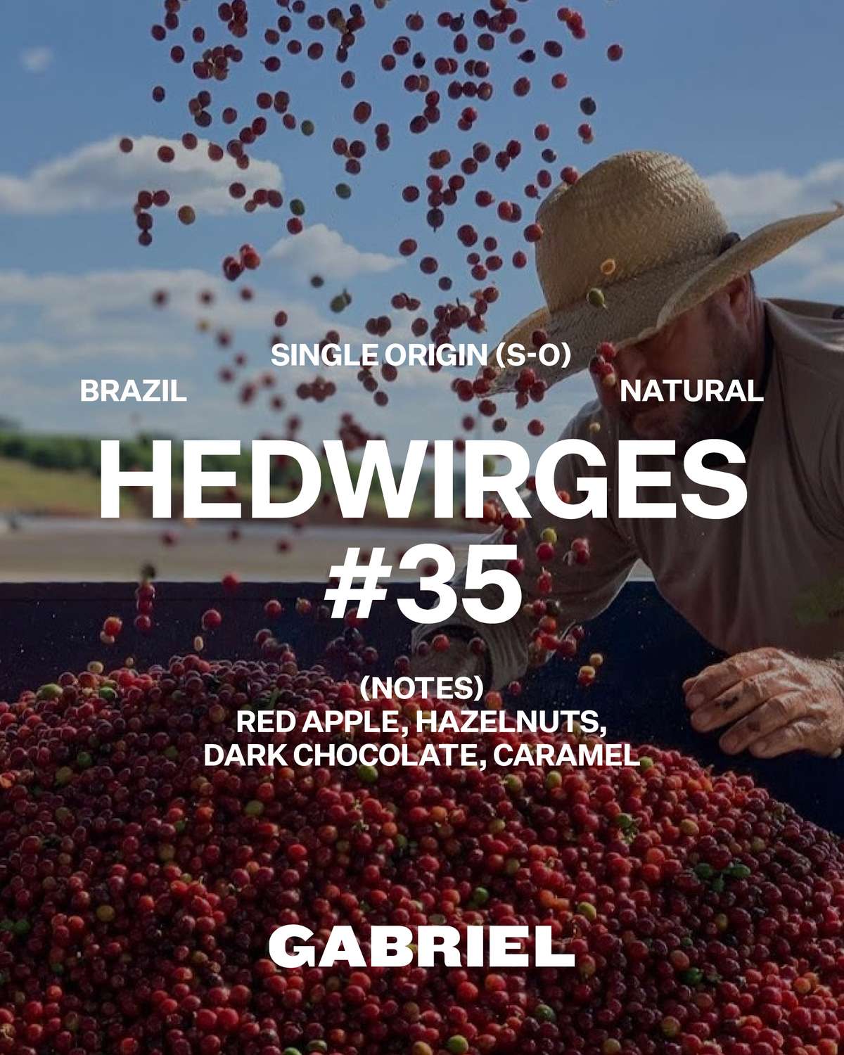 Hedwirges #35, Brazil - Espresso (500g)