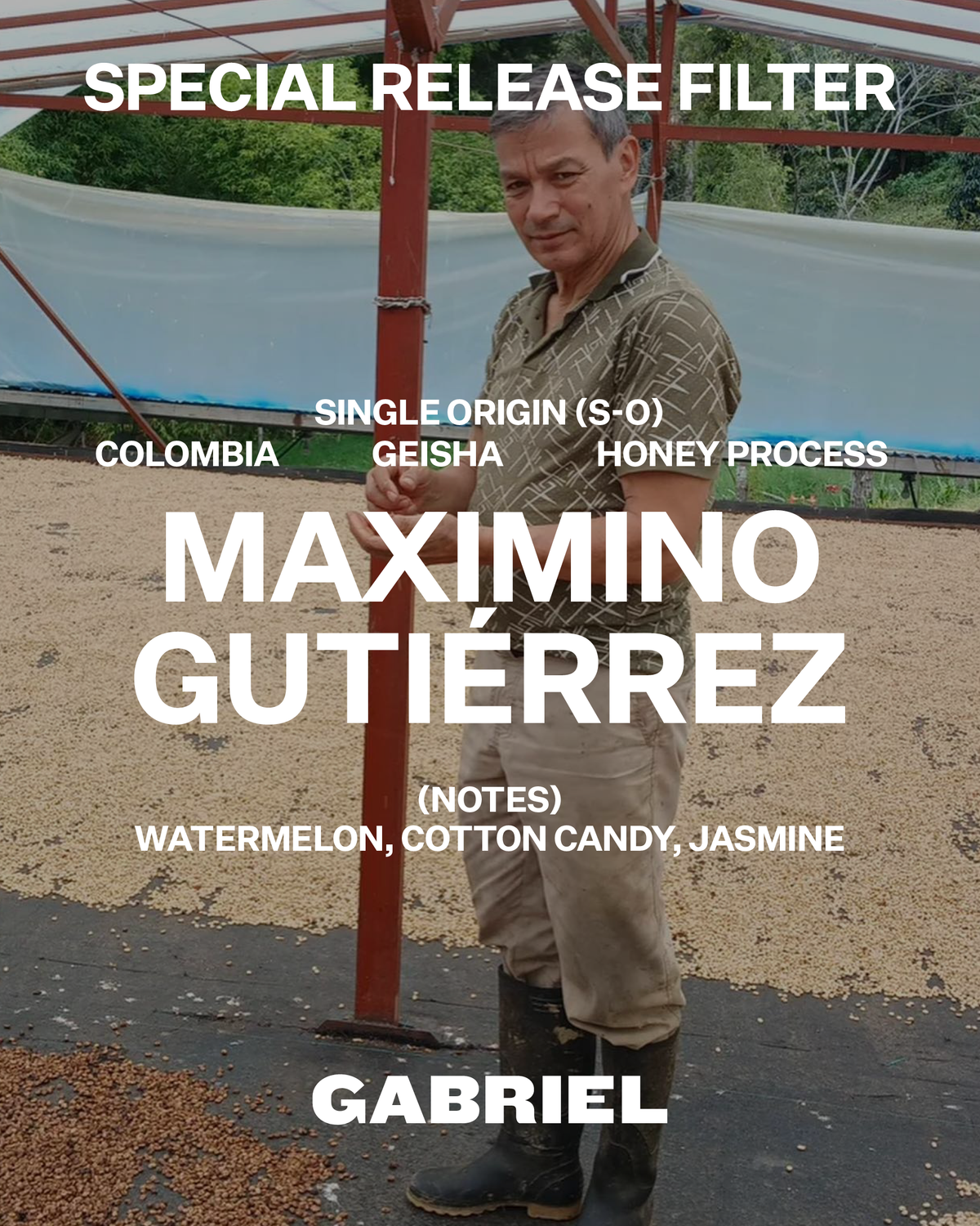 Maximino Gutiérrez, Colombia, Geisha - Special Release Filter (200g)