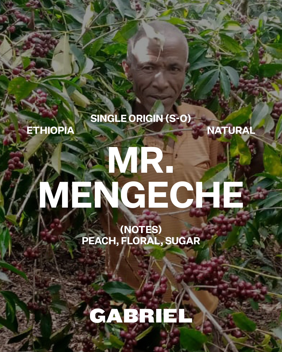 Mr. Mengeche, Ethiopia - Filter (250g)
