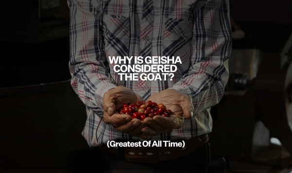 Why is Geisha (or Gesha) coffee considered the GOAT?