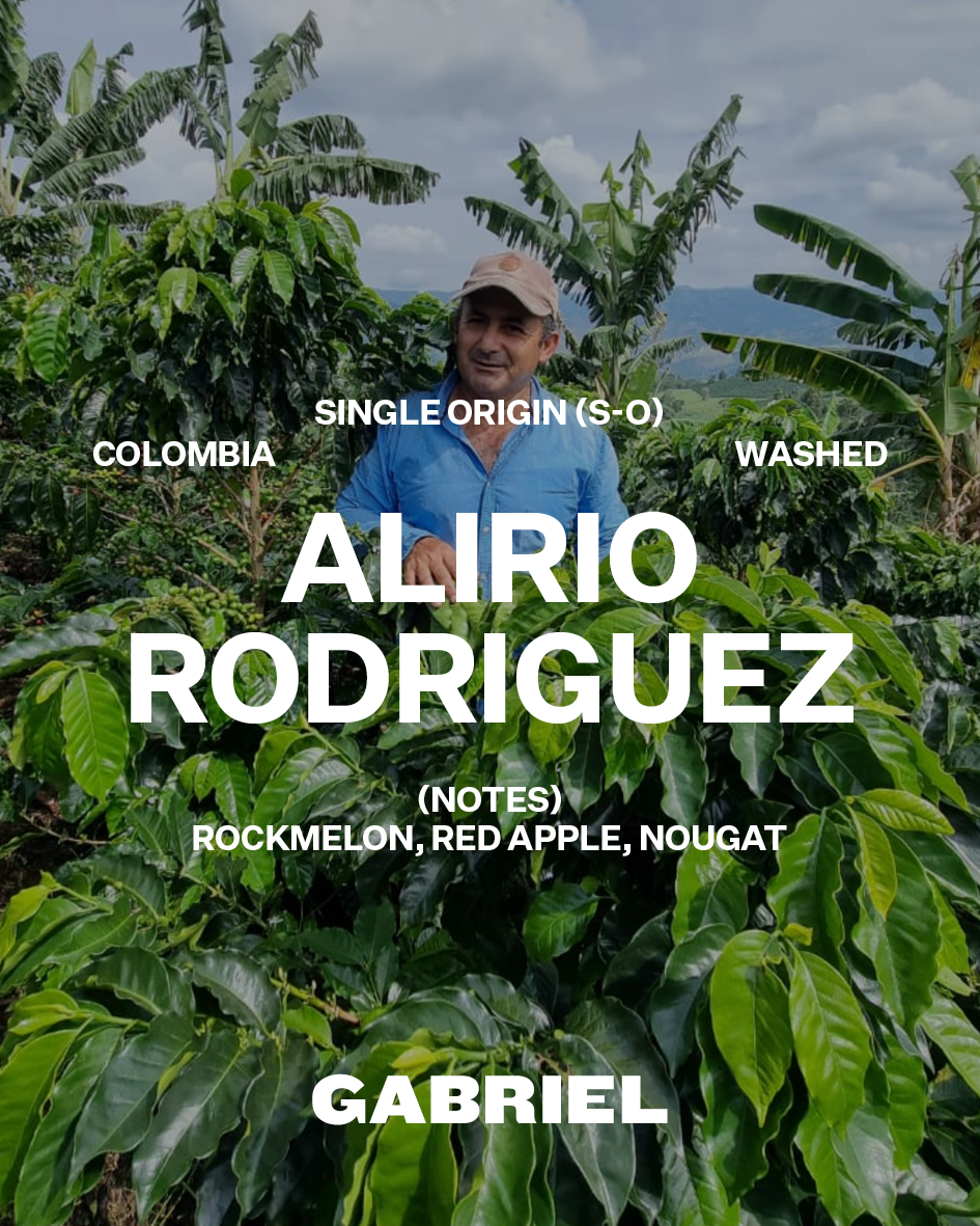 Alirio Rodriguez, Colombia - Filter