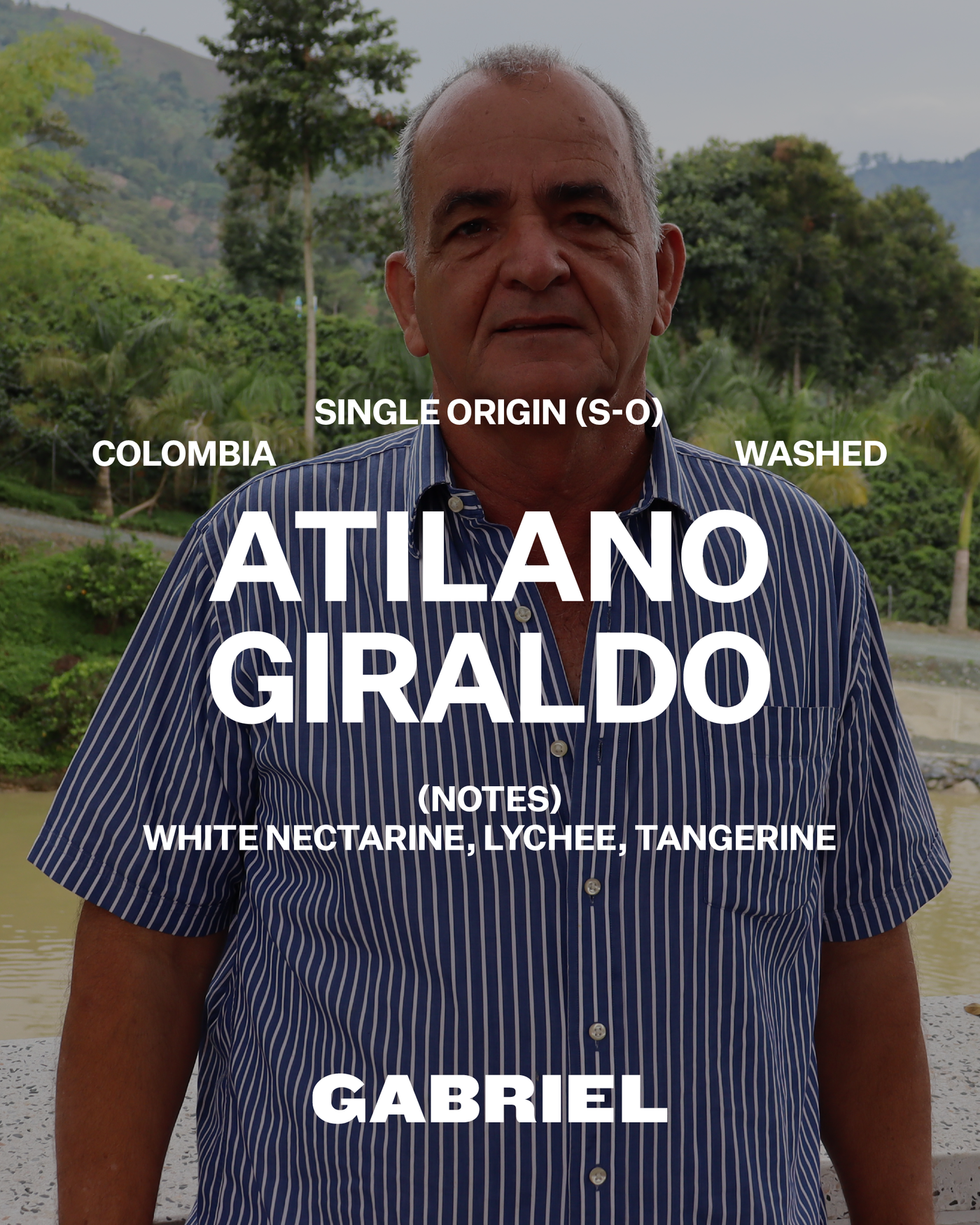 Atilano Giraldo, Colombia - Filter