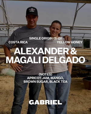 Alexander & Magali Delgado, Costa Rica  - Filter (250g)