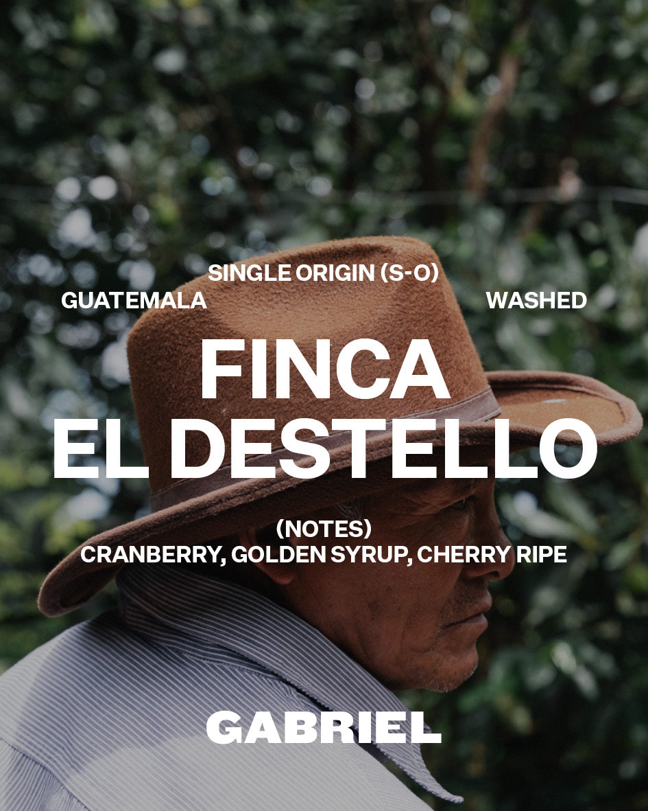 Finca El Destello, Guatemala - Espresso