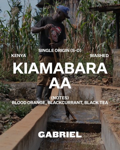 Kiamabara AA, Kenya - Filter (250g)