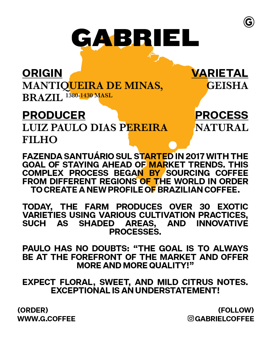 Luiz Paulo Dias Pereira Filho, Brazil (Geisha) - Special Release Filter (250g)