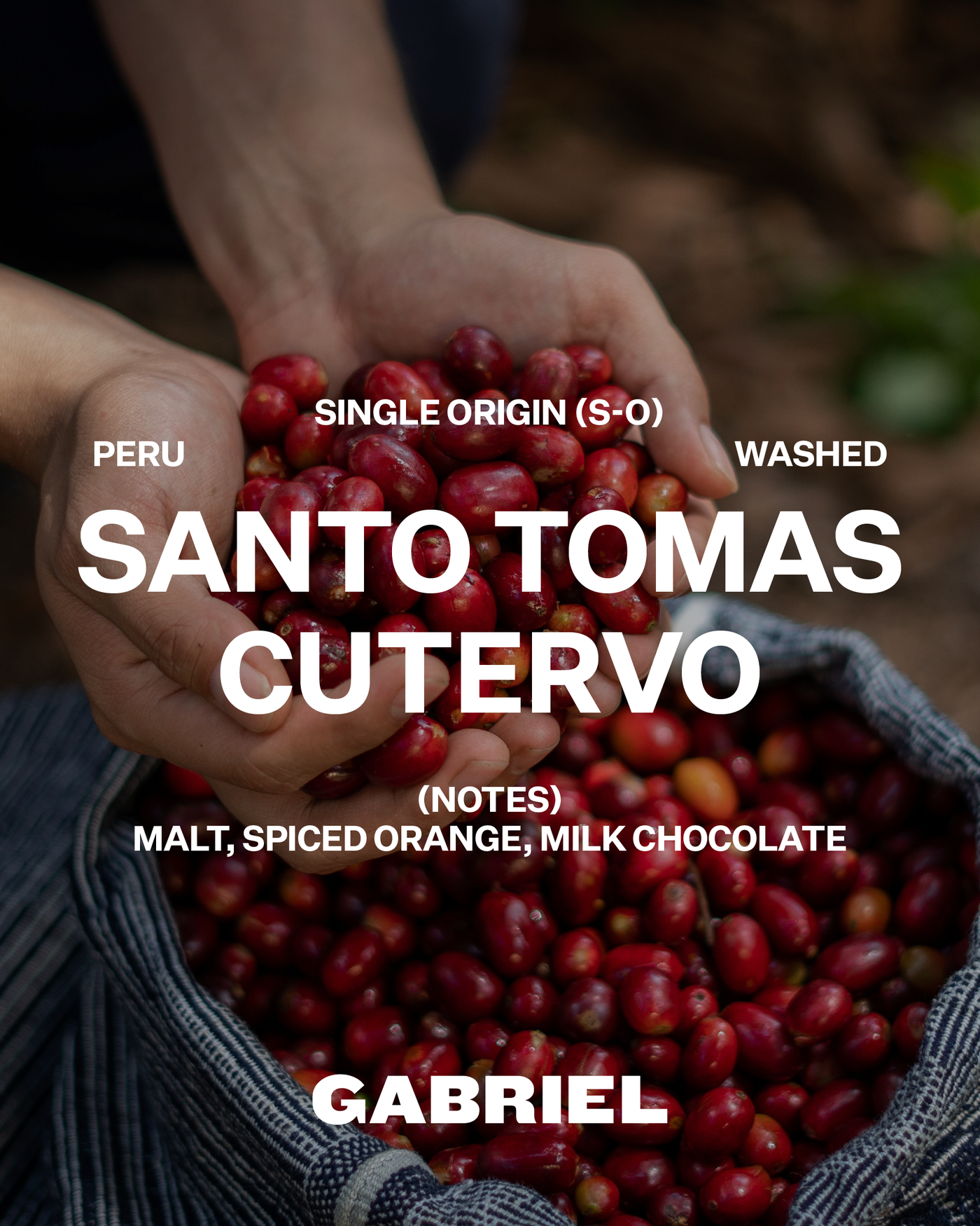 Santo Tomas Cutervo, Peru - Espresso (500g)