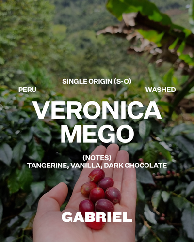 Veronica Mego, Peru - Espresso