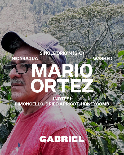 Mario Ortez, Nicaragua - Espresso