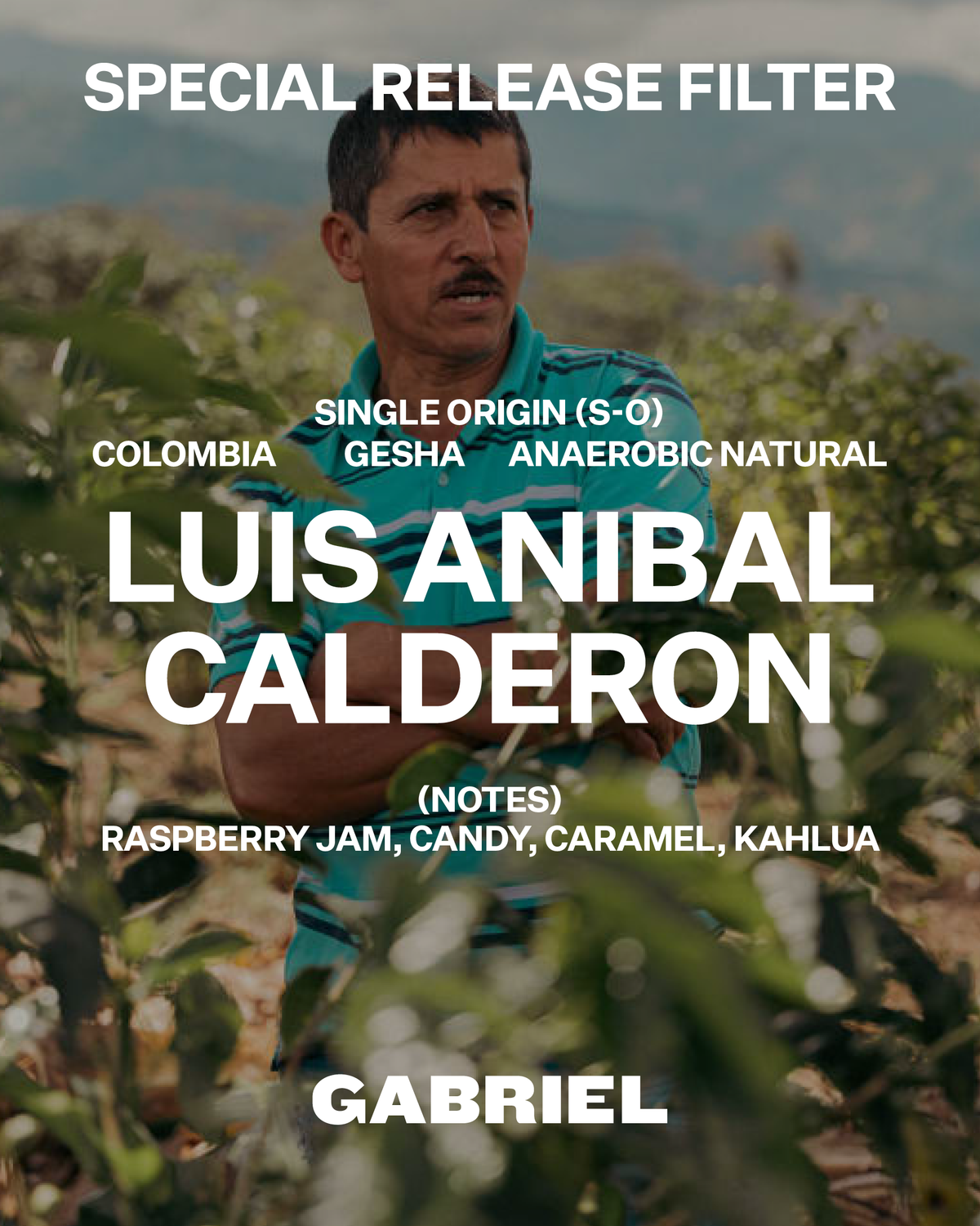 Special Release Filter Single Origin Coffee from Colombia, Gesha Varietal, anaerobic  natural process, notes of raspberry jam, candy and caramel. 