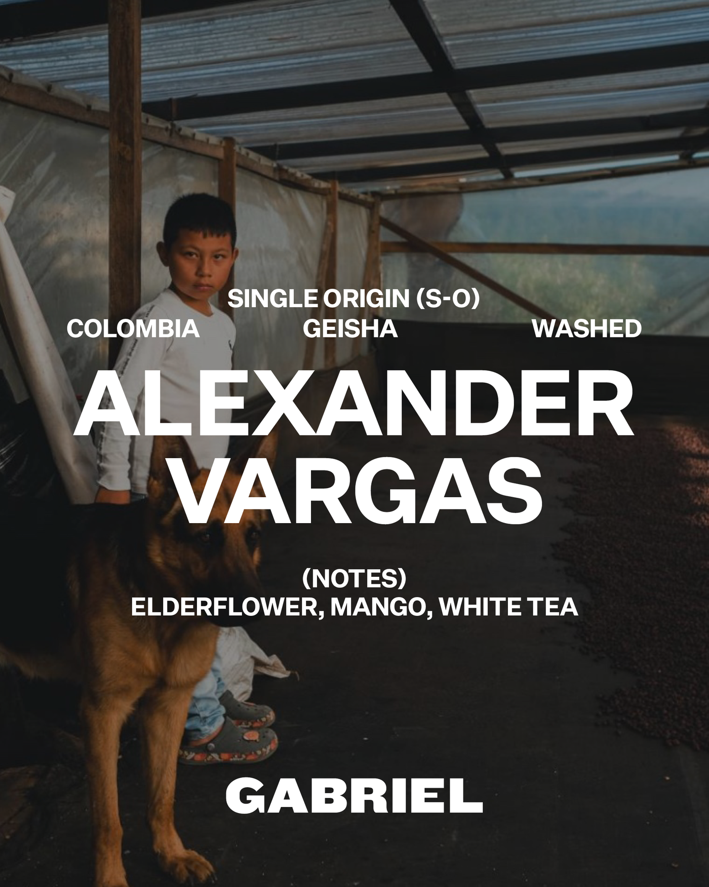 Alexander Vargas, Colombia - Filter (250g)