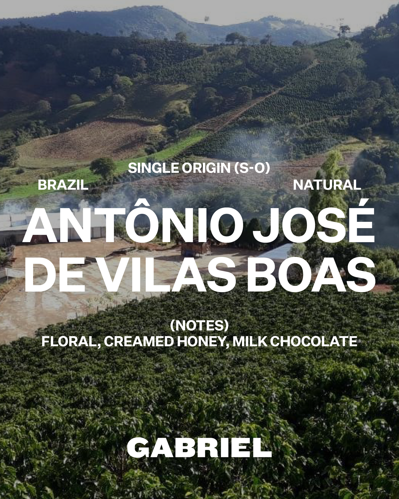 Antônio José de Vilas Boas, Brazil - Filter (250g)
