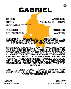 Carambolo, Colombia - Filter (250g)