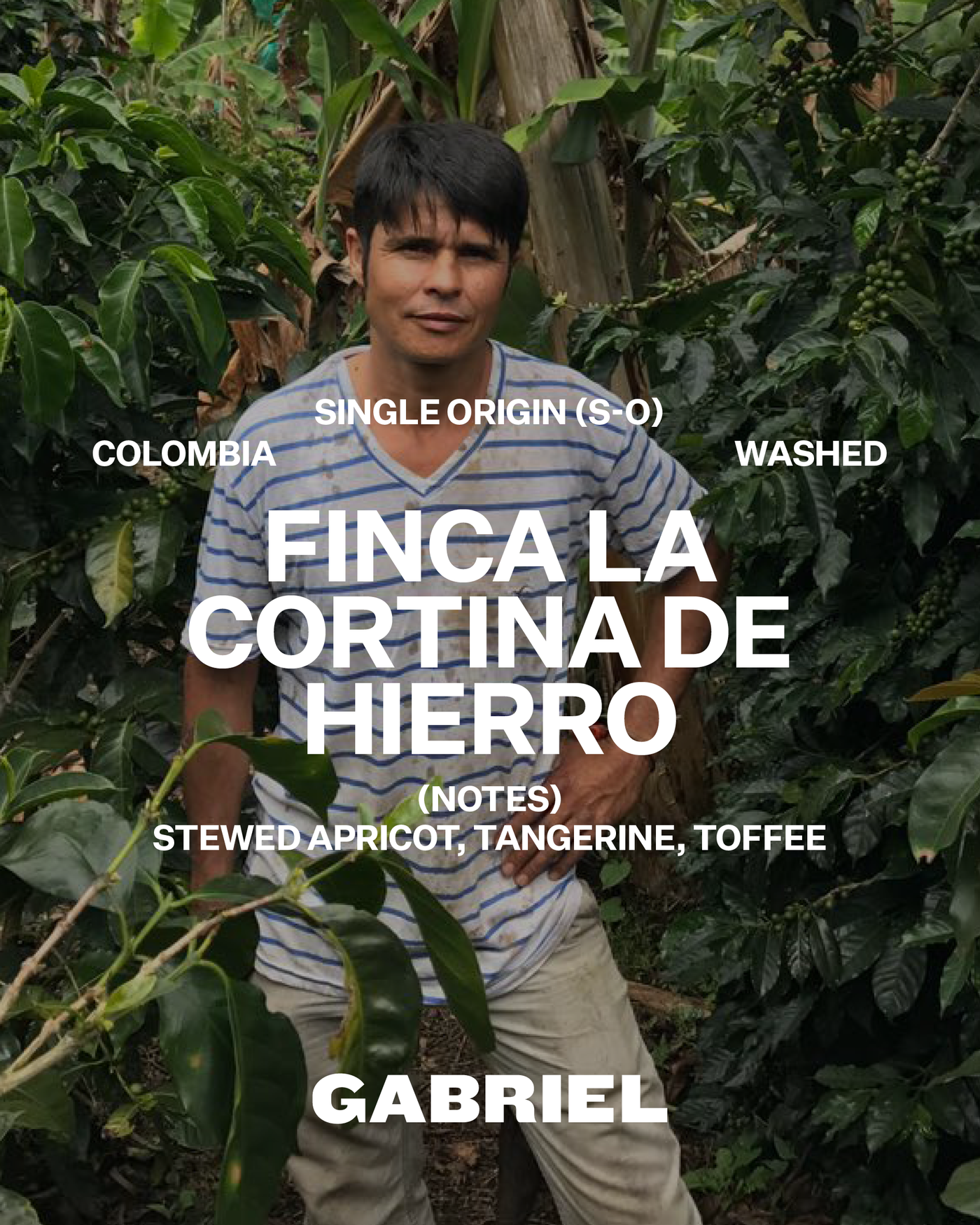 Finca La Cortina De Hierro, Colombia - Espresso (500g)