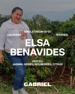 Elsa Benavides, Colombia - Filter (250g)