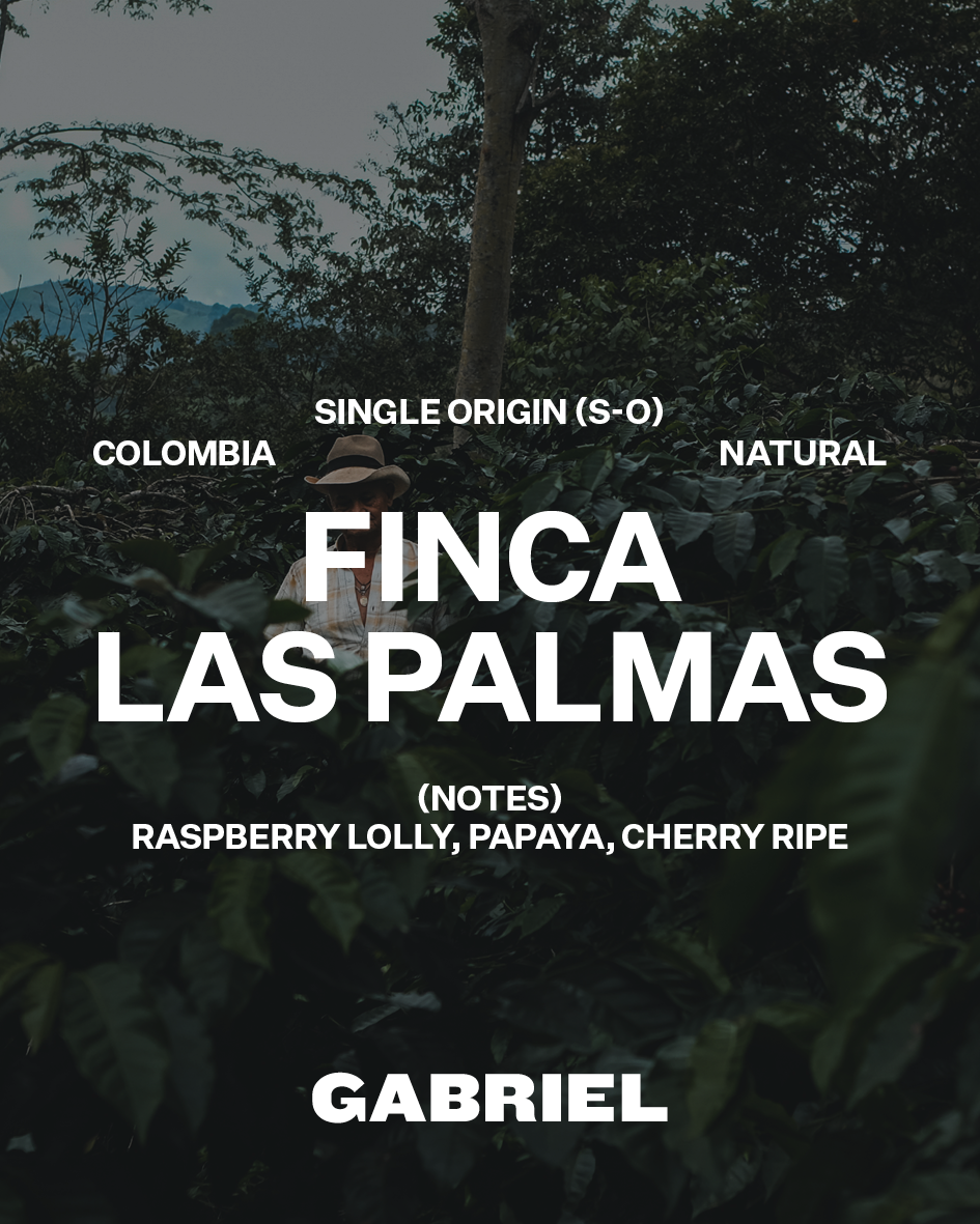 Finca Las Palmas, Colombia - Espresso (500g)
