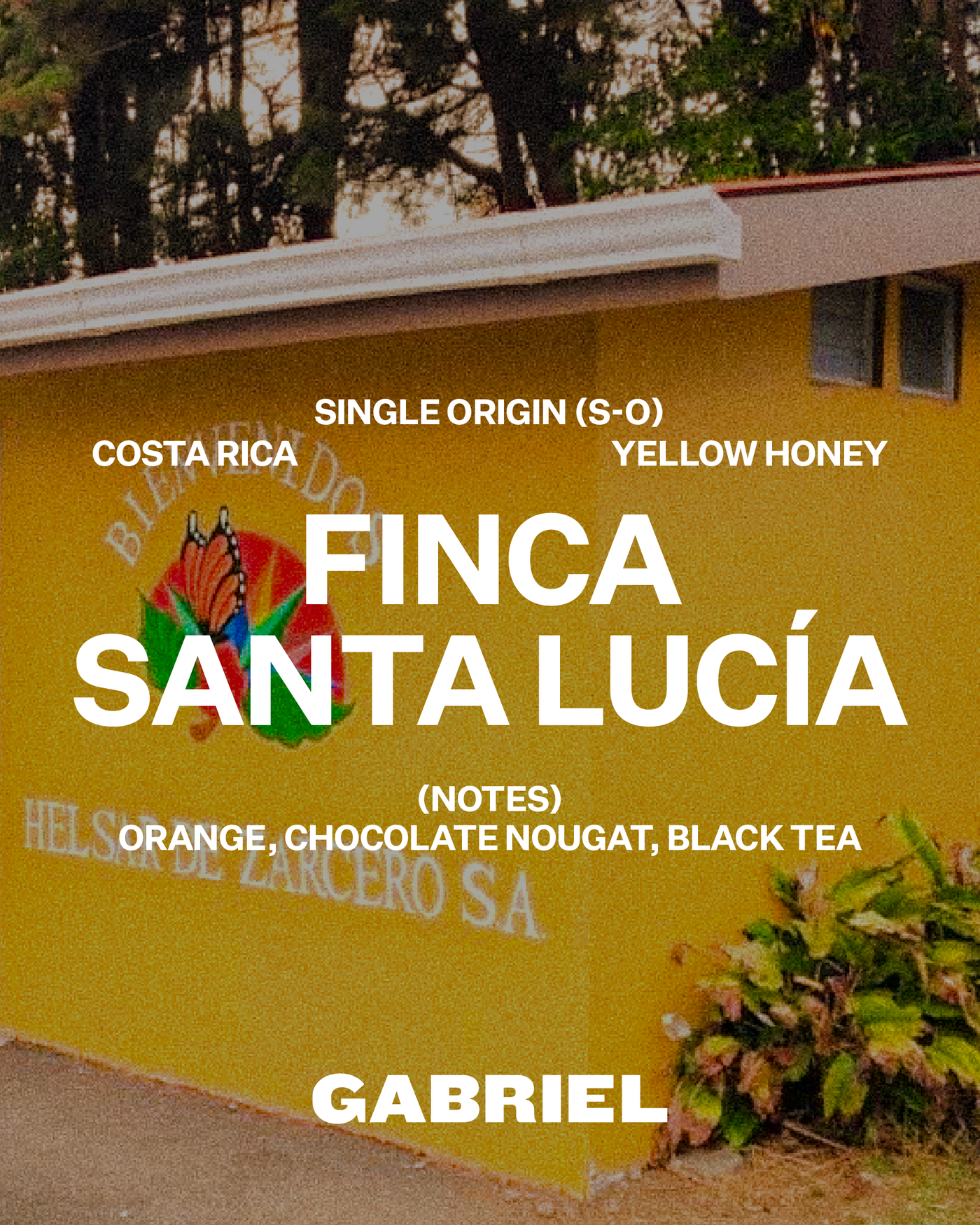 Finca Santa Lucía, Costa Rica - Espresso (500g)