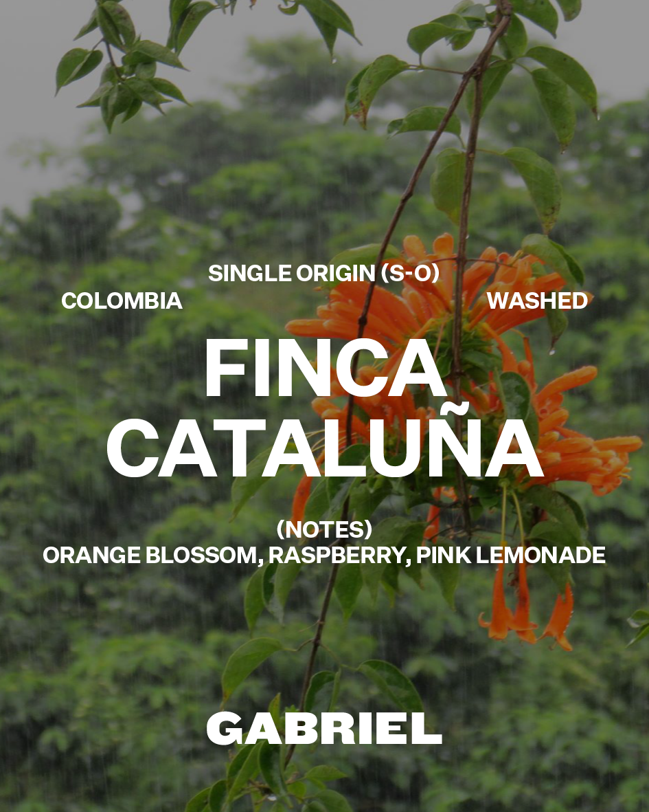 Finca Cataluña, Colombia - Espresso (500g)