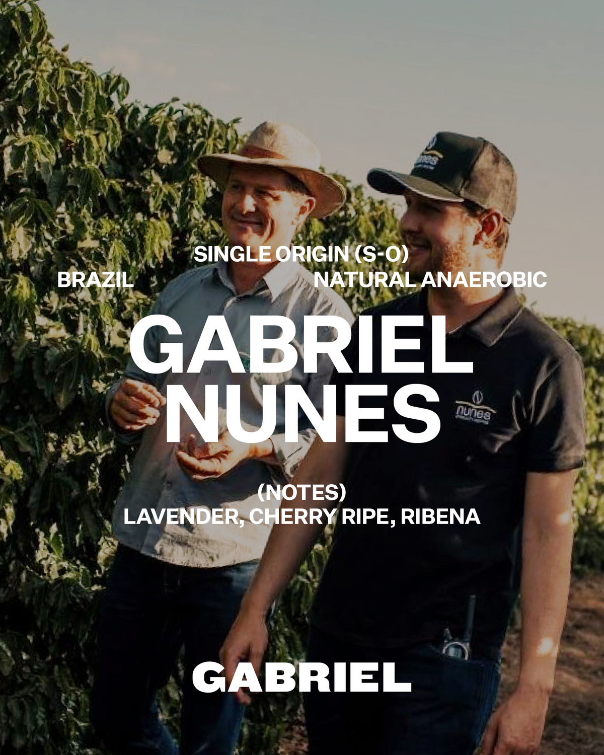 Gabriel Nunes, Brazil  - Filter (250g)