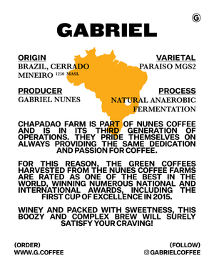 Gabriel Nunes, Brazil  - Filter (250g)