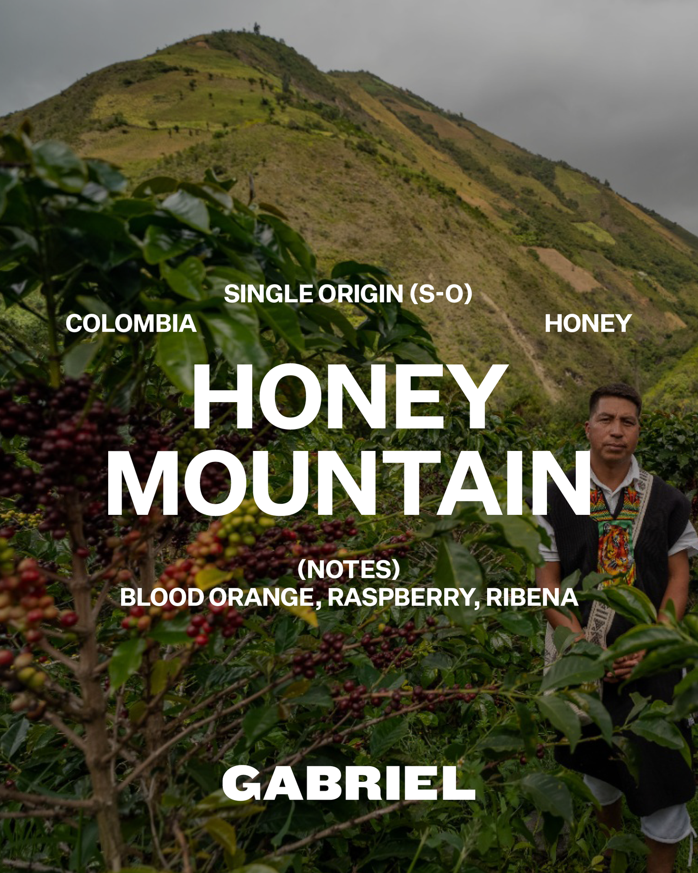 Honey Mountain, Colombia - Filter (250g)