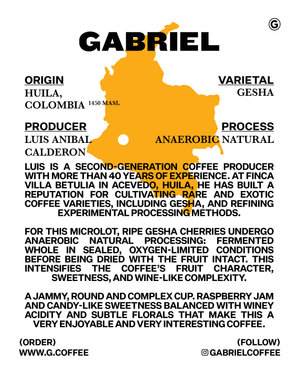 Luis Anibal Calderon, Colombia, Gesha - Special Release Filter (200g)