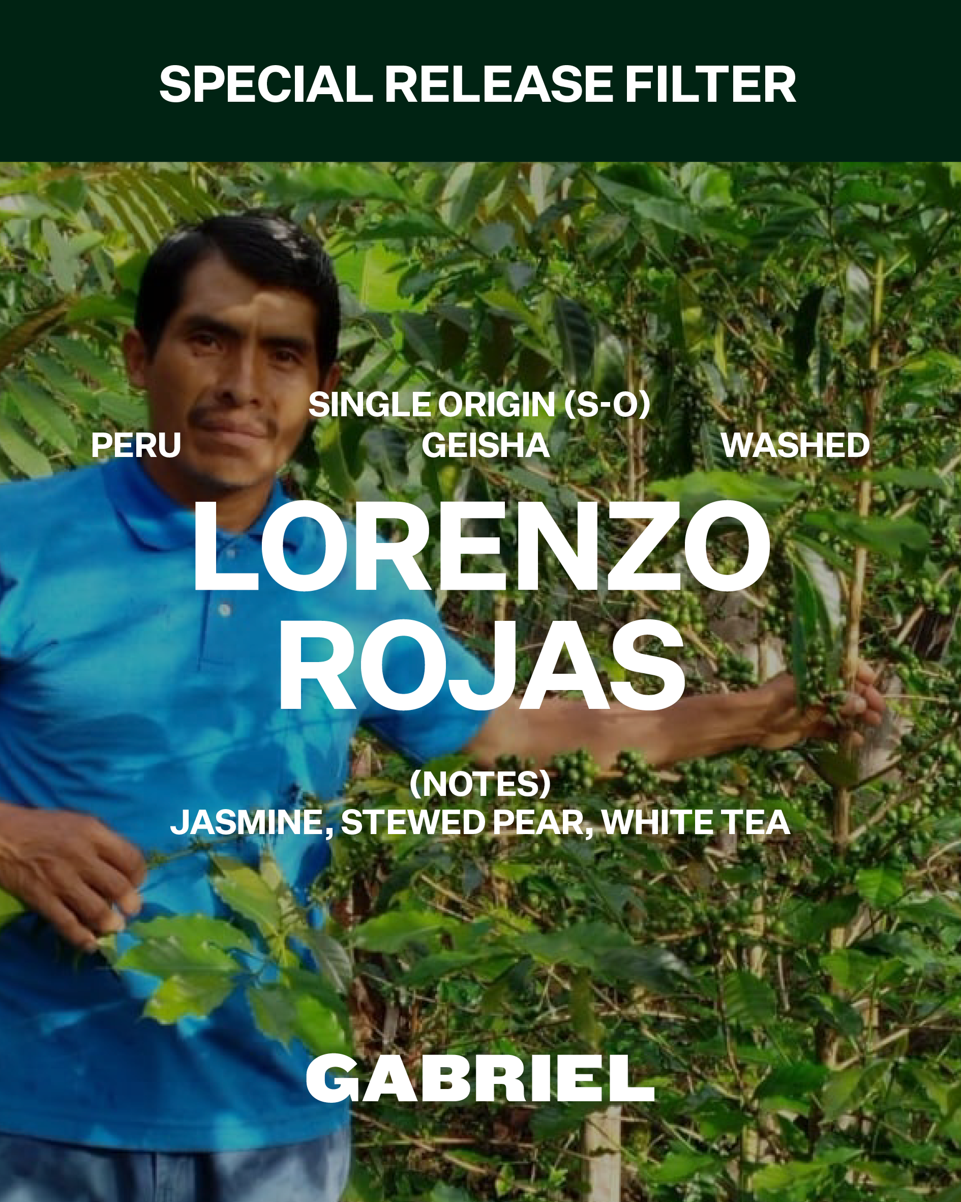 Lorenzo Rojas, Peru - Special Release Filter // GEISHA (200g) – Gabriel ...