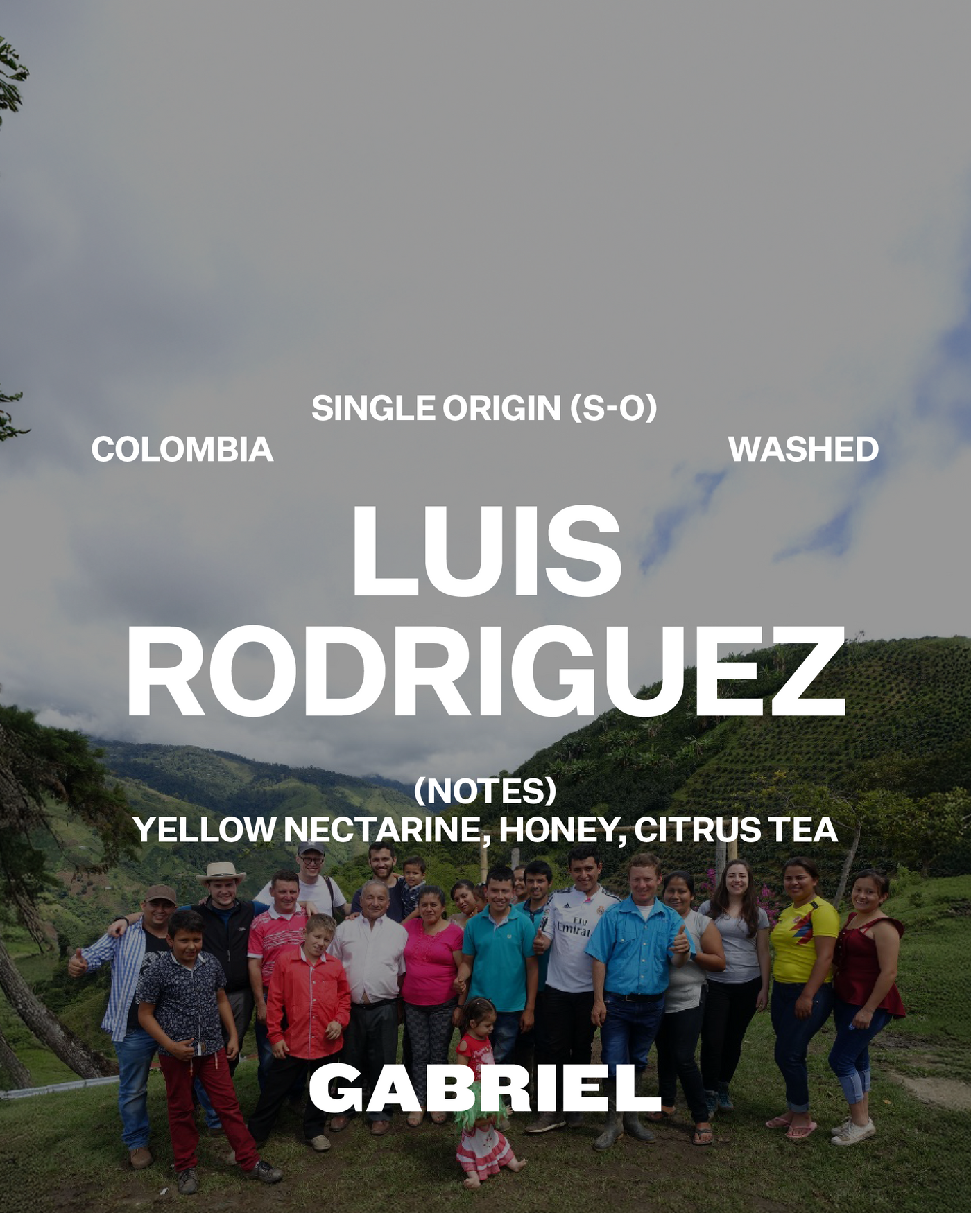 Luis Rodriguez, Colombia - Filter (250g)