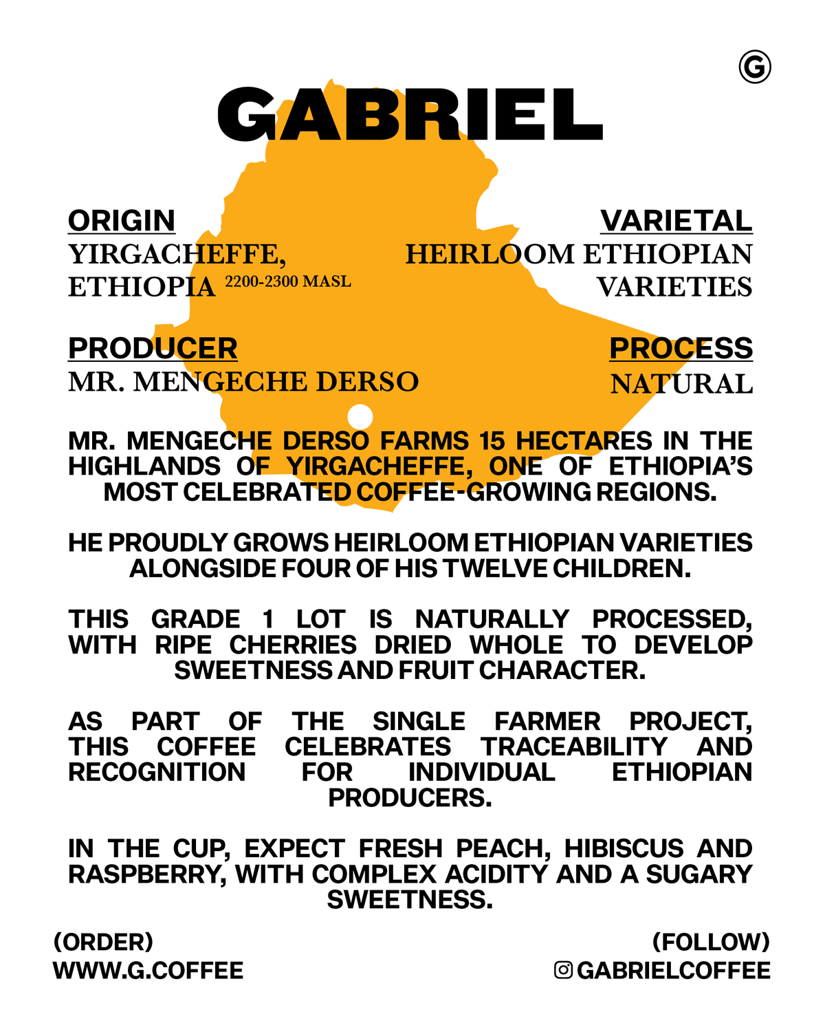 Mr. Mengeche, Ethiopia - Filter (250g)