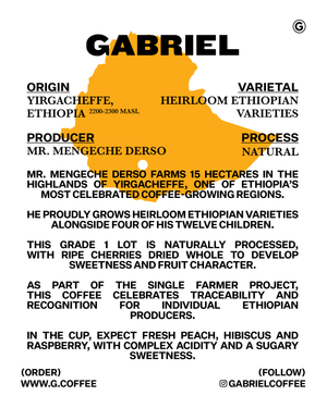 Mr. Mengeche, Ethiopia - Filter (250g)