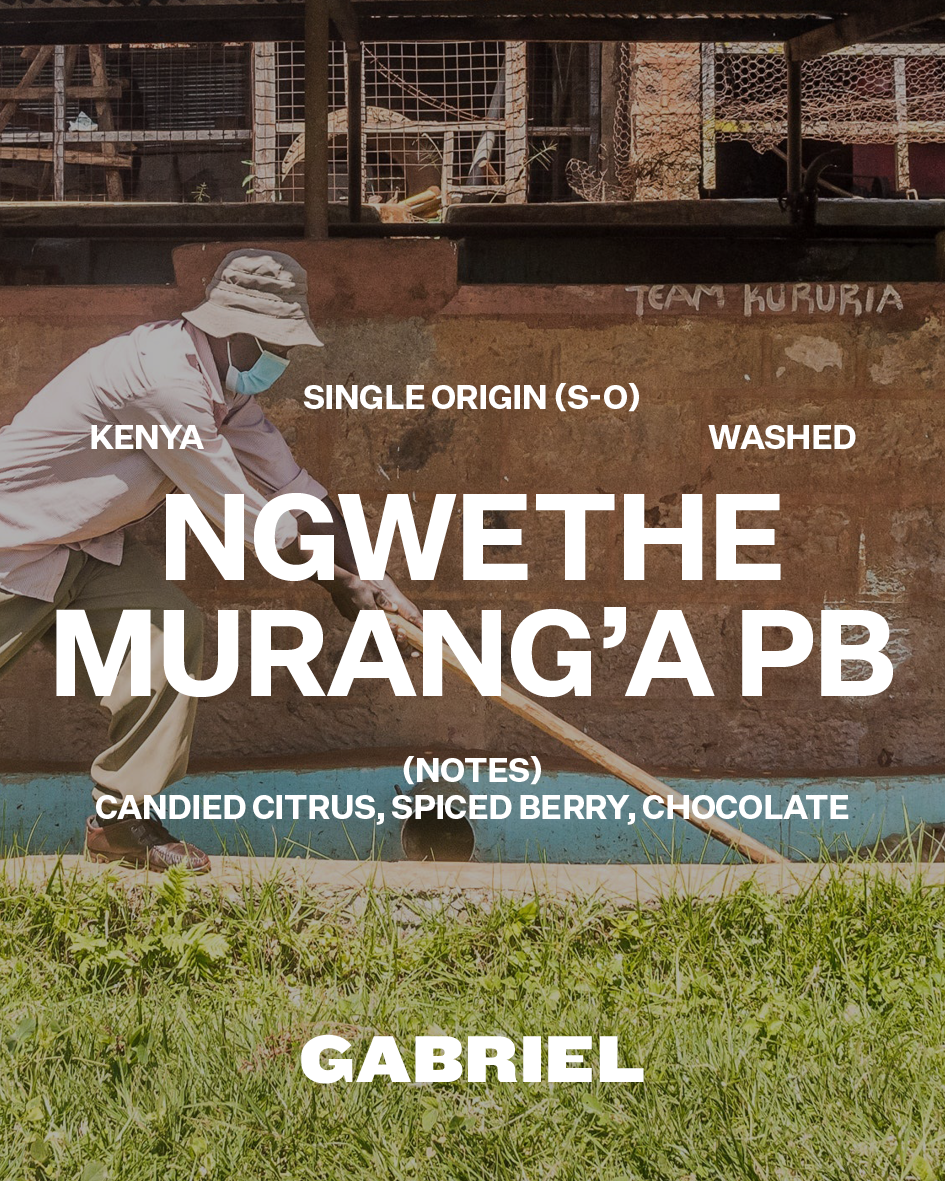 Ngwethe Murang’a PB, Kenya - Espresso (500g)
