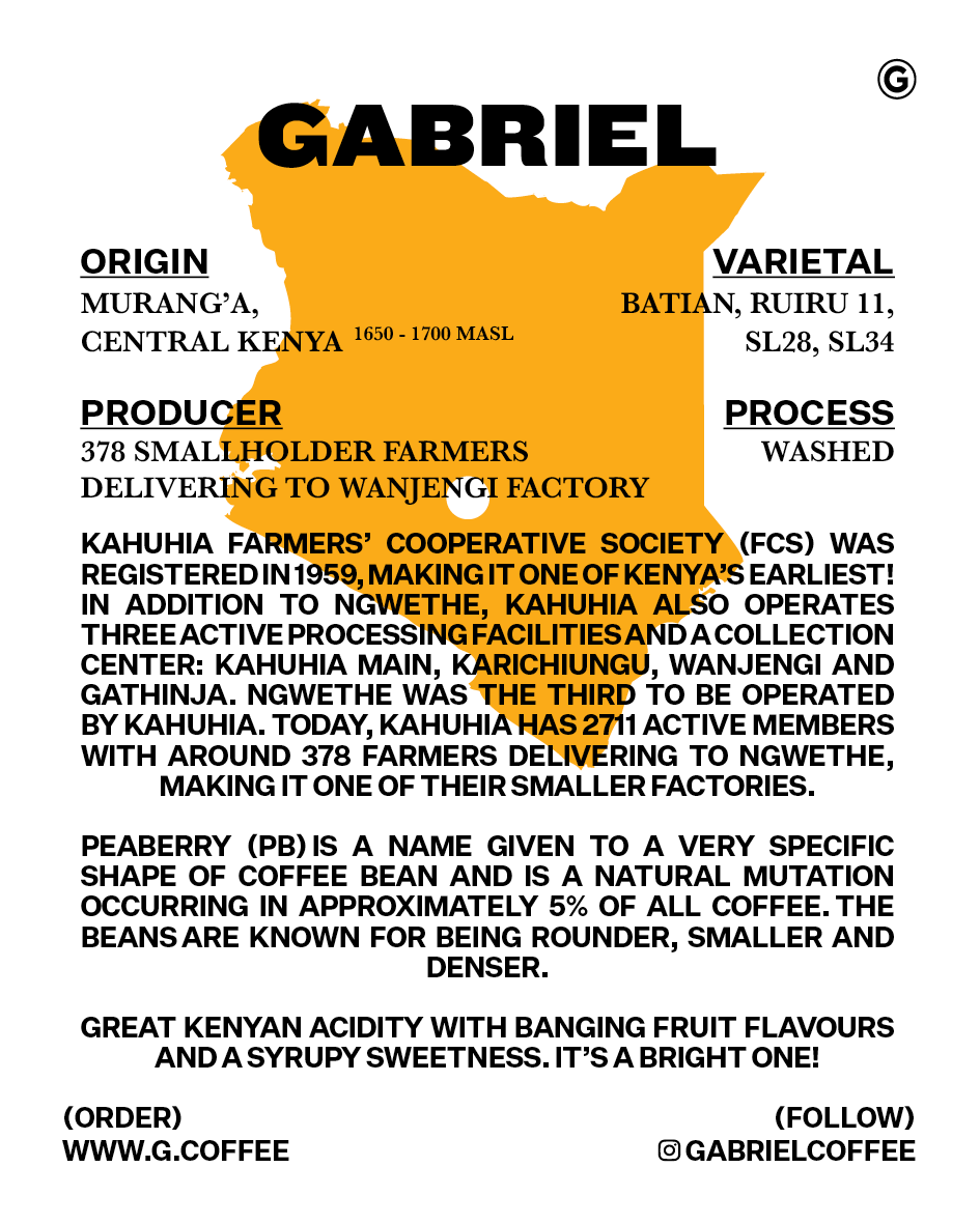 Ngwethe Murang’a PB, Kenya - Espresso (500g)
