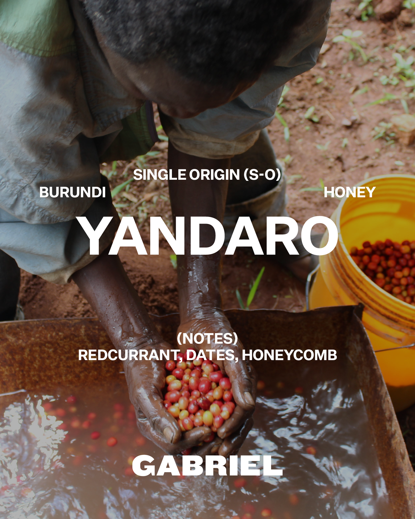 Yandaro, Burundi - Filter (250g)