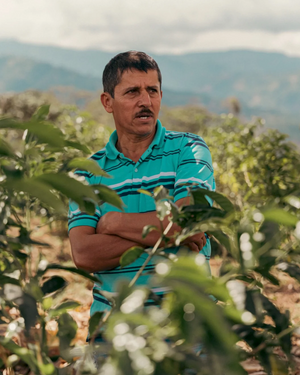 Luis Anibal Calderon, Colombia, Gesha - Special Release Filter (200g)