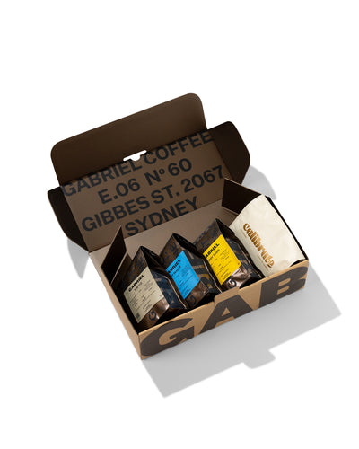 Gabriel Blends Sample Pack