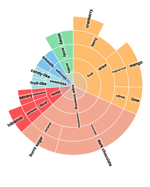 A coffee sensory colour wheel infographic showing flavour profiles, with labeled segments for raspberry, candy & caramel.